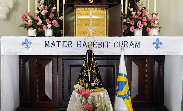 Foto: Ir. M. Nilza Pereira da Silva Nossa Senhora Aparecida