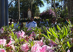 Clique para ver as fotos mae